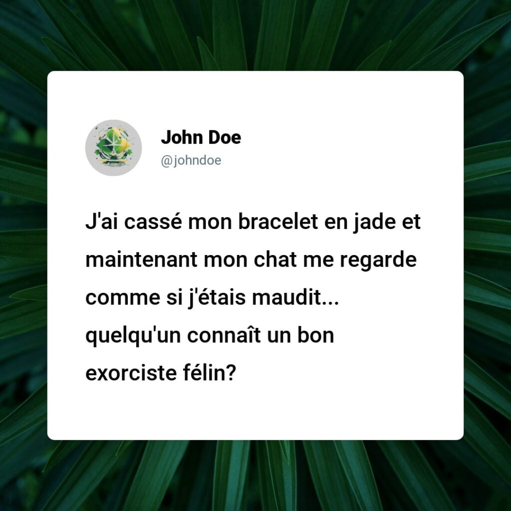 Est-ce une Malchance de Casser un Bracelet en Jade ? Démystifions les Superstitions !