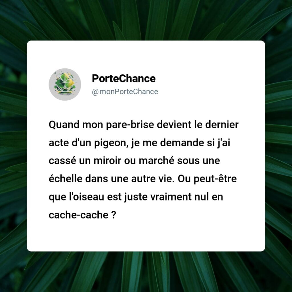 Est-ce de la Malchance de Percuter un Oiseau en Voiture ? Démystification entre Mythes et Réalités