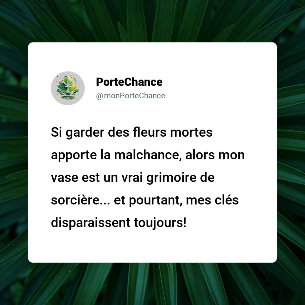 Est-ce de la malchance de garder des fleurs mortes ? Démystification des superstitions avec des faits