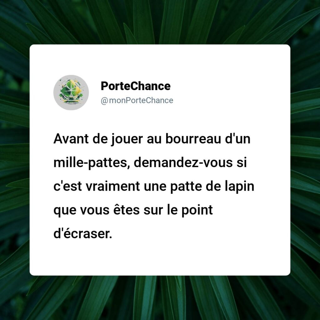 Est-ce de la Malchance de Tuer un Mille-pattes ? Démystification des Vieilles Croyances avec des Faits