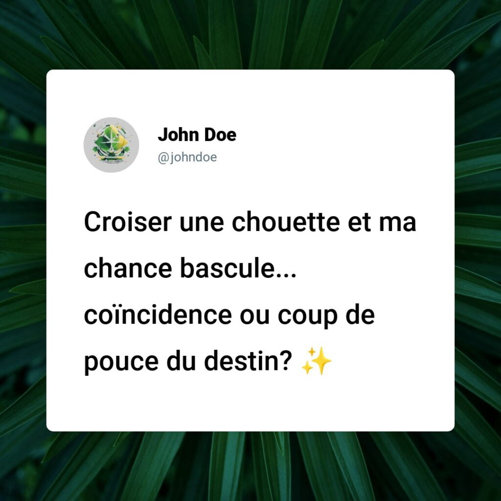 Est-ce un signe de chance d'apercevoir une chouette ? Démystification et signification !