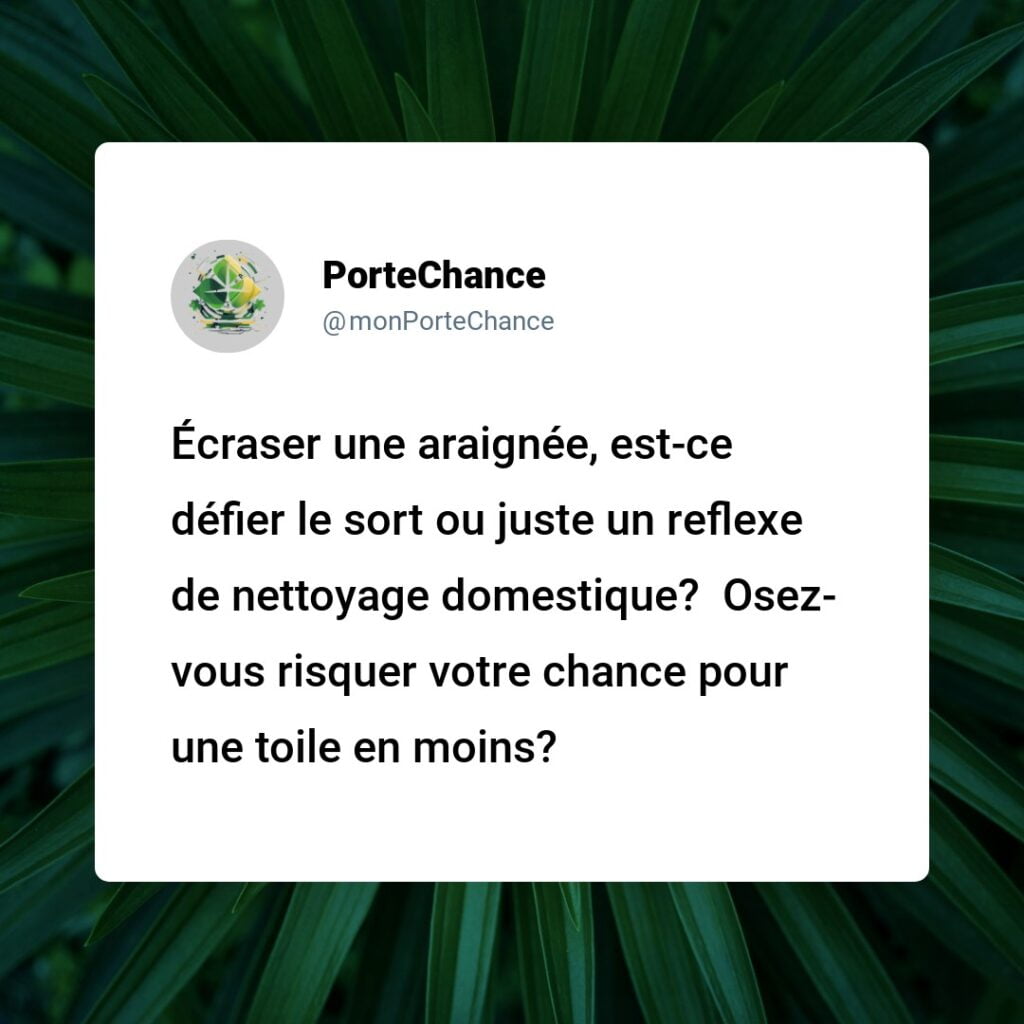 Est-ce de la Malchance de Tuer des Araignées ? Démystifier les Mythes avec des Faits