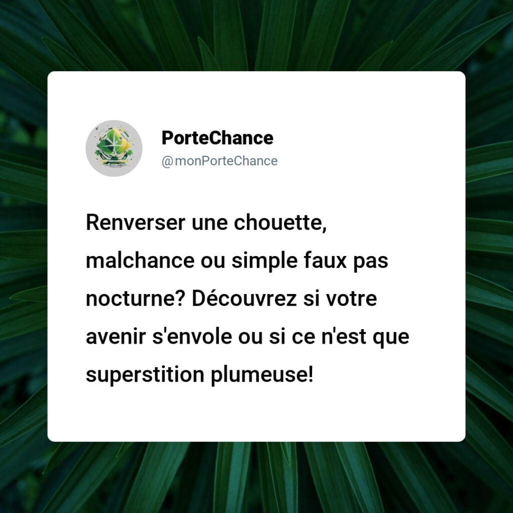 Est-ce de la Malchance d'Écraser une Chouette ? Démystification des Mythes et Réalités