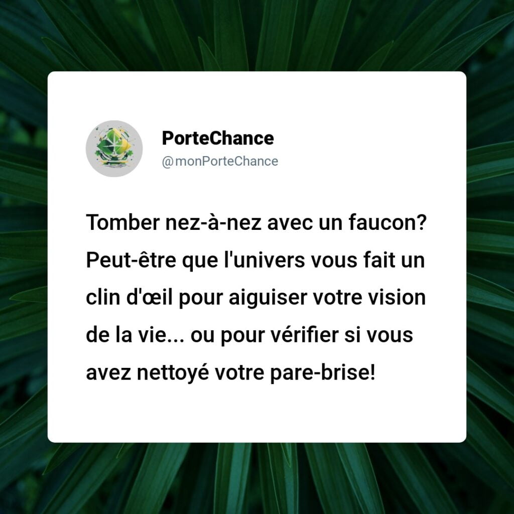 La Chance de Croiser un Faucon : Démystification des Croyances autour de l'Apparition de l'Oiseau