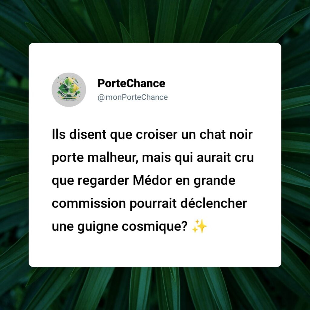 Est-ce de la Malchance de Voir un Chien Faire ses Besoins ? On Démystifie les Superstitions sur les Animaux avec le Sourire !