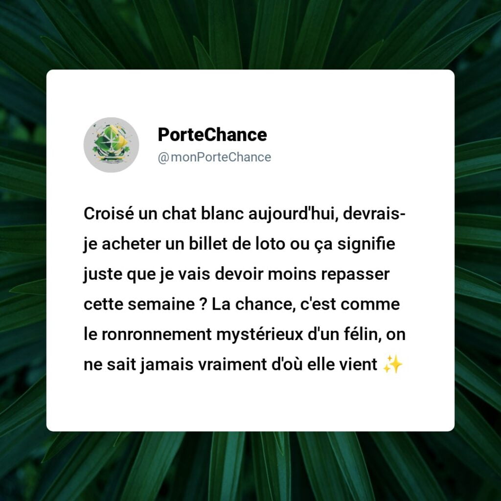 La Chance Sourit-elle à la Vue d'un Chat Blanc ? Décryptage des Mystères Superstitieux !