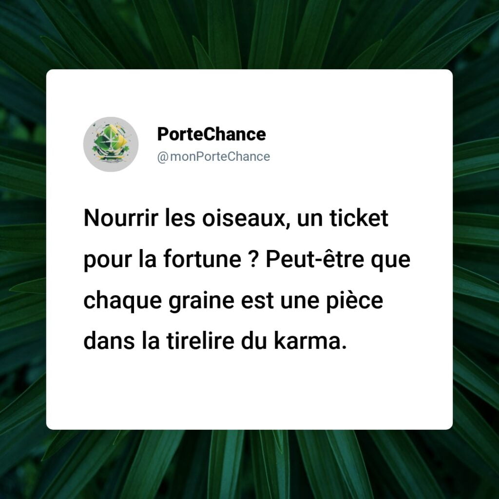 Porte-bonheur d'offrir à manger aux oiseaux ? Découvrez les bienfaits étonnants !