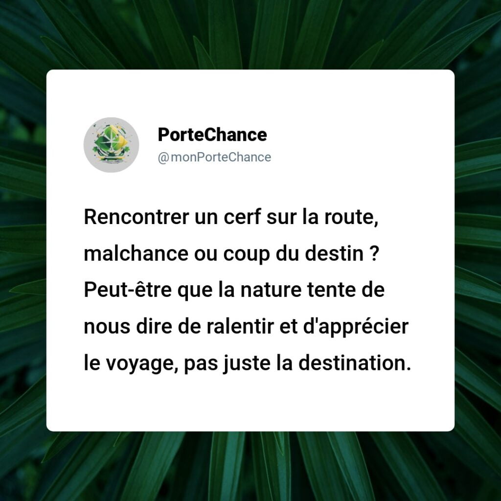 Est-ce de la Malchance de Percuter un Cerf ? - Démystification du Mythe et Conseils à Suivre