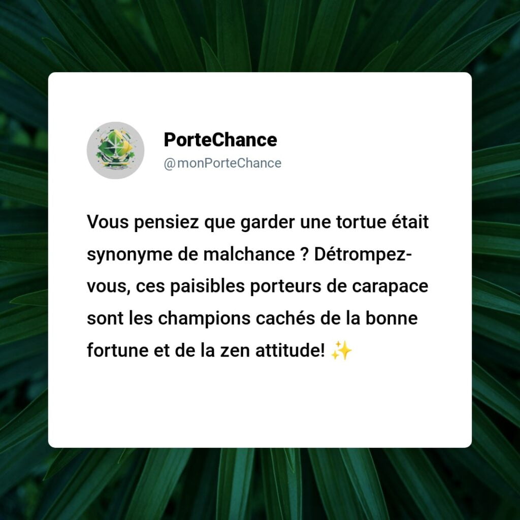 Est-ce de la malchance d'avoir une tortue ? Démystification des mythes sur les animaux de compagnie avec des faits !