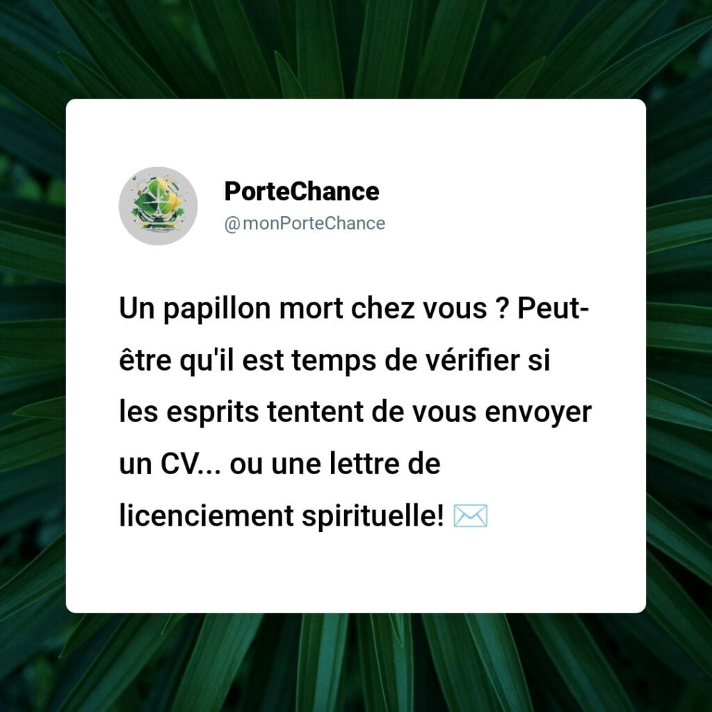 Porte-t-il malheur de conserver un papillon mort ? Démystification des légendes et des réalités
