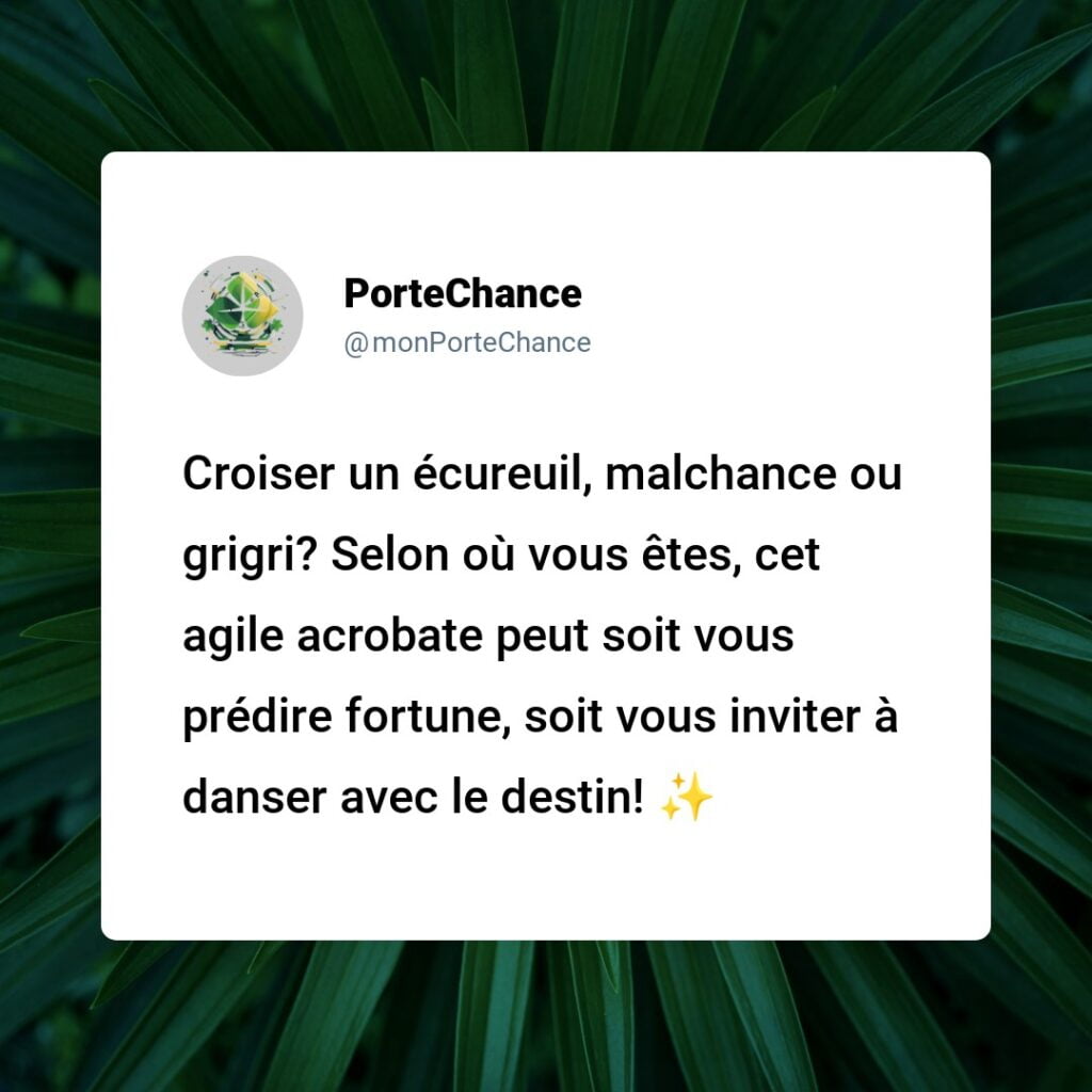 Est-ce un signe de malchance d'apercevoir un écureuil ? Démêlons le mythe de la réalité