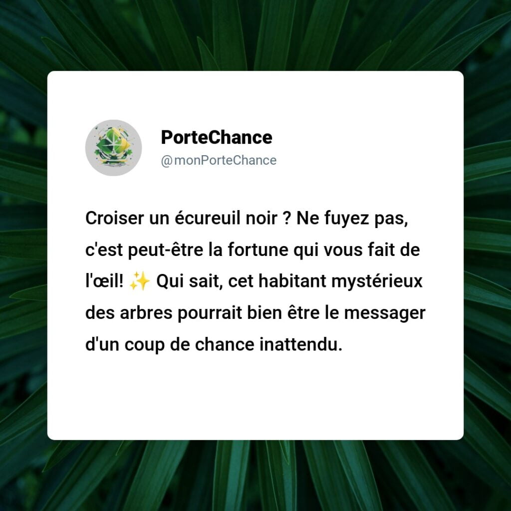 Est-ce de la malchance de voir un écureuil noir ? Démystification des mythes avec des faits